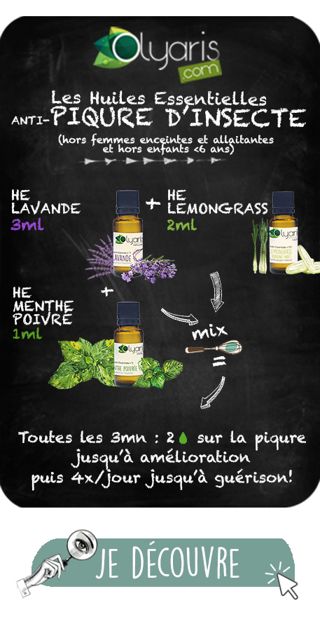 Huile Essentielle de Menthe Poivrée : Le Guide Complet par Olyaris